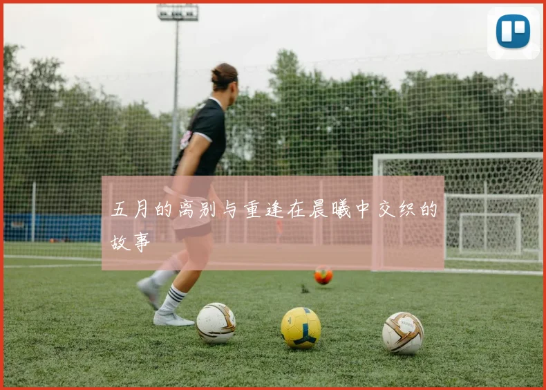五月的离别与重逢在晨曦中交织的故事